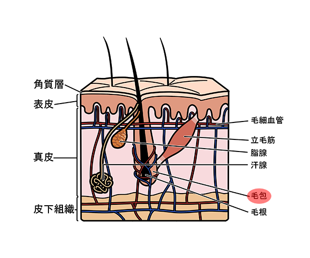 自慰行為をした後に手のひらに毛が生えることはありますか?