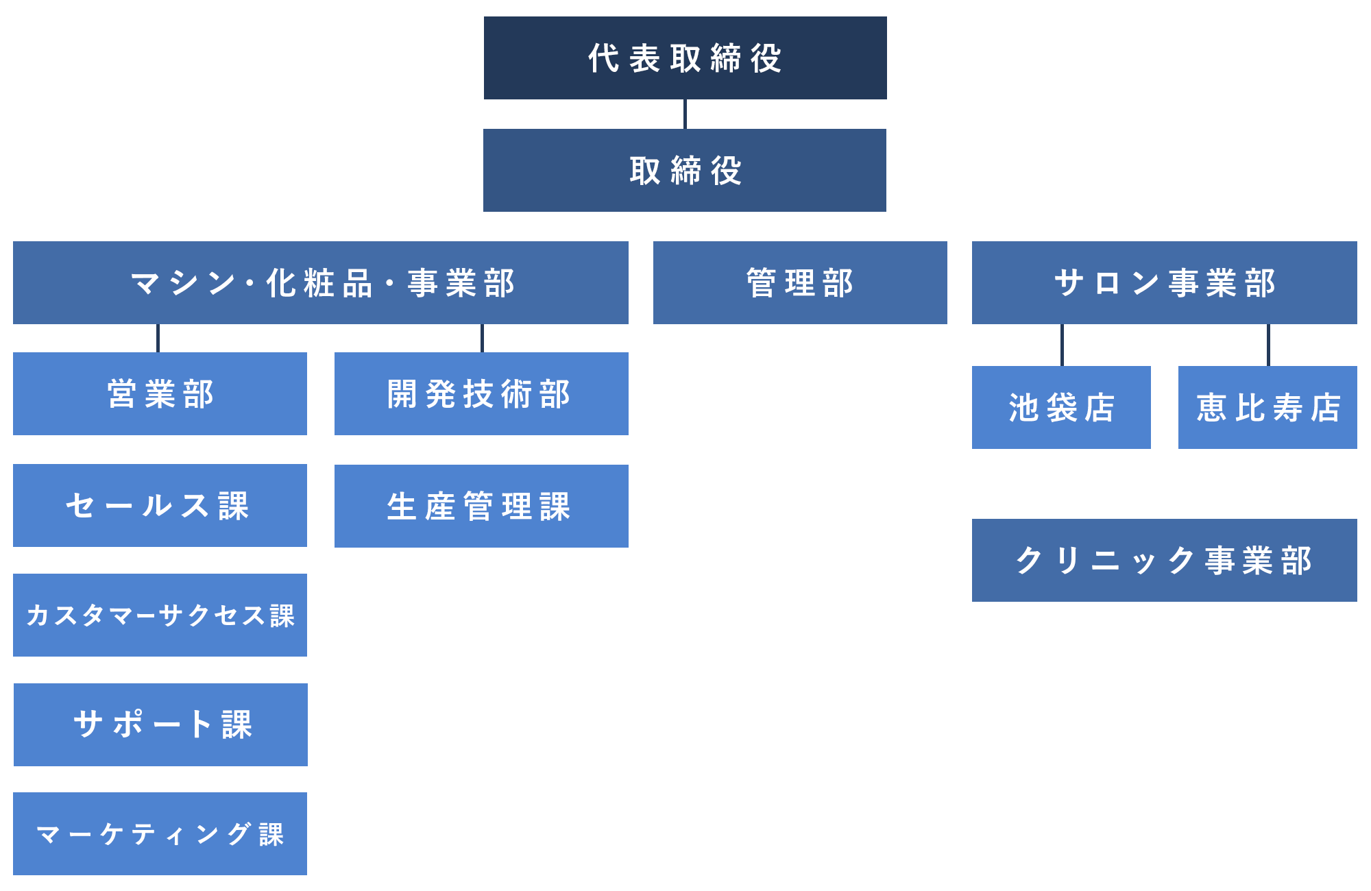株式会社Dr.Visea組織図